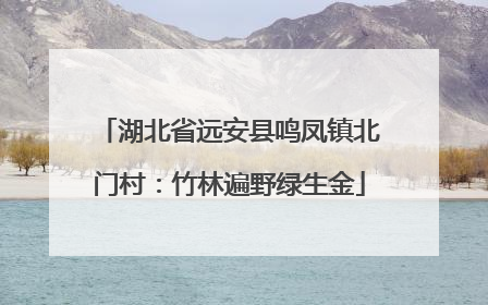 湖北省远安县鸣凤镇北门村：竹林遍野绿生金