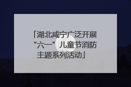 湖北咸宁广泛开展“六一”儿童节消防主题系列活动