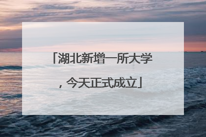 湖北新增一所大学，今天正式成立