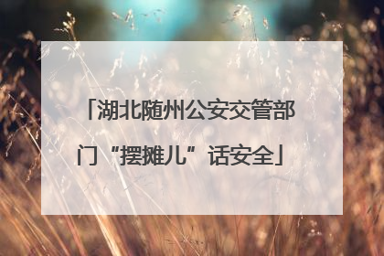 湖北随州公安交管部门“摆摊儿”话安全