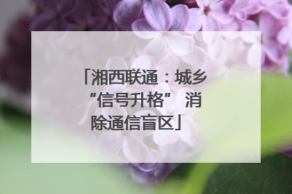 湘西联通：城乡“信号升格” 消除通信盲区