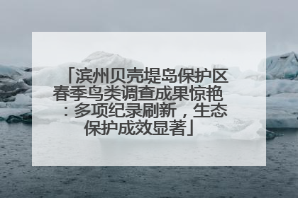 滨州贝壳堤岛保护区春季鸟类调查成果惊艳：多项纪录刷新，生态保护成效显著