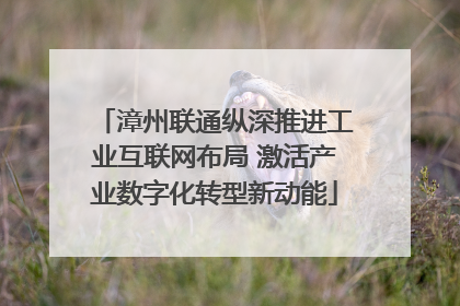 漳州联通纵深推进工业互联网布局 激活产业数字化转型新动能
