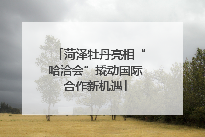 菏泽牡丹亮相“哈洽会”撬动国际合作新机遇