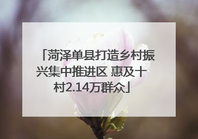 菏泽单县打造乡村振兴集中推进区 惠及十村2.14万群众