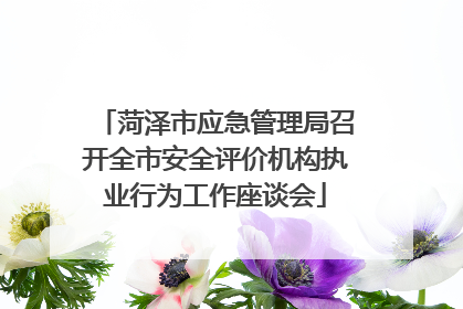菏泽市应急管理局召开全市安全评价机构执业行为工作座谈会