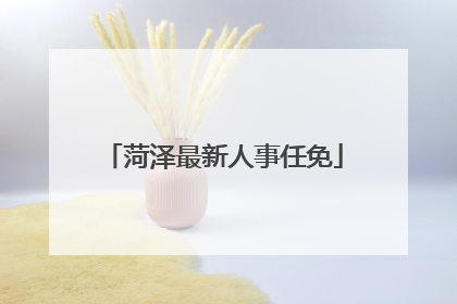 菏泽最新人事任免