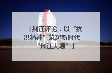 荆江评论：以“抗洪精神”筑起新时代“荆江大堤”