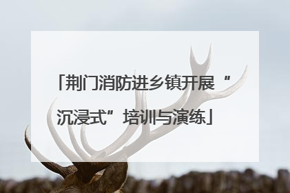 荆门消防进乡镇开展“沉浸式”培训与演练
