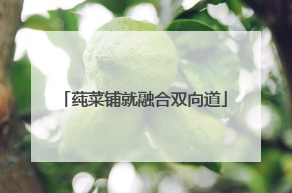 莼菜铺就融合双向道
