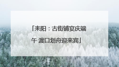 耒阳：古街铺宴庆端午 渡口划舟迎来宾