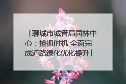 聊城市城管局园林中心：抢抓时机 全面完成道路绿化优化提升
