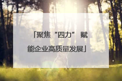 聚焦“四力” 赋能企业高质量发展