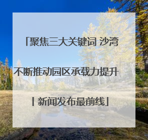 聚焦三大关键词 沙湾不断推动园区承载力提升丨新闻发布最前线