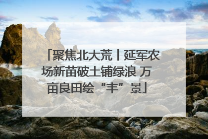 聚焦北大荒丨延军农场新苗破土铺绿浪 万亩良田绘“丰”景