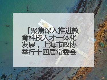 聚焦深入推进教育科技人才一体化发展，上海市政协举行十四届常委会第十八次会议，胡文容出席并讲话