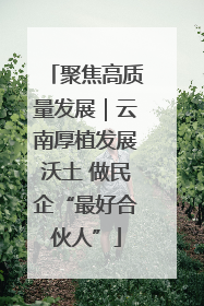 聚焦高质量发展｜云南厚植发展沃土 做民企“最好合伙人”