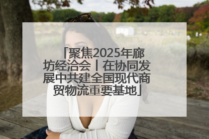 聚焦2025年廊坊经洽会丨在协同发展中共建全国现代商贸物流重要基地