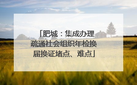 肥城：集成办理 疏通社会组织年检换届换证堵点、难点