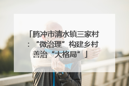腾冲市清水镇三家村：“微治理”构建乡村善治“大格局”