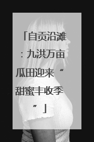 自贡沿滩：九洪万亩瓜田迎来“甜蜜丰收季”