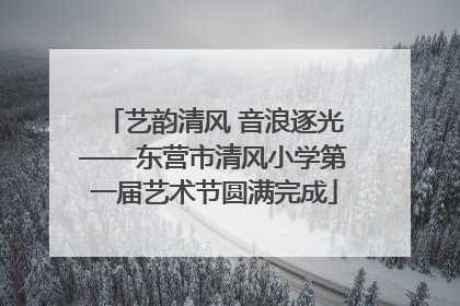 艺韵清风 音浪逐光——东营市清风小学第一届艺术节圆满完成