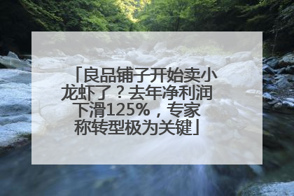良品铺子开始卖小龙虾了？去年净利润下滑125%，专家称转型极为关键