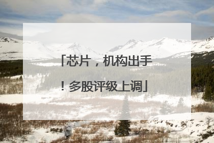 芯片，机构出手！多股评级上调