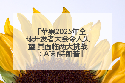 苹果2025年全球开发者大会令人失望 其面临两大挑战：AI和特朗普
