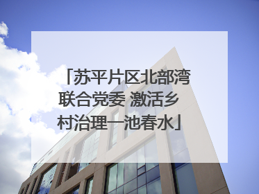 苏平片区北部湾联合党委 激活乡村治理一池春水