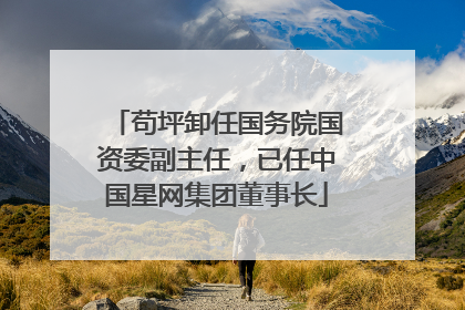 苟坪卸任国务院国资委副主任，已任中国星网集团董事长
