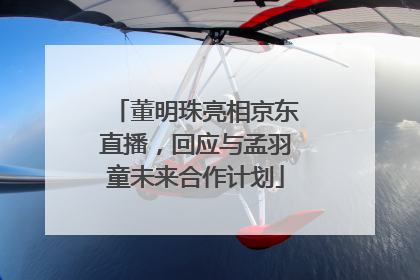 董明珠亮相京东直播，回应与孟羽童未来合作计划