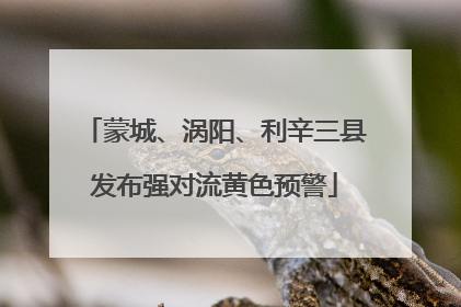 蒙城、涡阳、利辛三县发布强对流黄色预警
