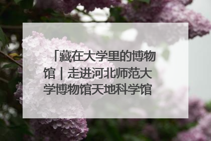 藏在大学里的博物馆｜走进河北师范大学博物馆天地科学馆：在校园里赴一场“宇宙之约”