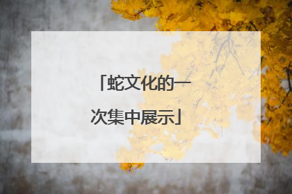 蛇文化的一次集中展示