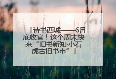 诗书西城——6月底收官！这个周末快来“旧书新知·小石虎古旧书市”