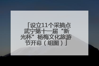设立11个采摘点 武宁第十一届“新光杯”杨梅文化旅游节开幕（组图）