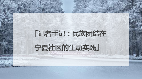 记者手记：民族团结在宁夏社区的生动实践