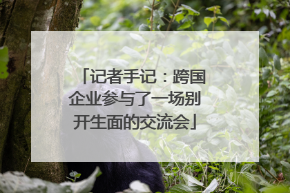 记者手记：跨国企业参与了一场别开生面的交流会