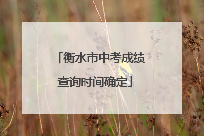 衡水市中考成绩查询时间确定