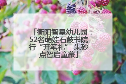 衡阳智星幼儿园：52名萌娃石鼓书院行“开笔礼” 朱砂点智启童蒙