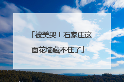 被美哭！石家庄这面花墙藏不住了