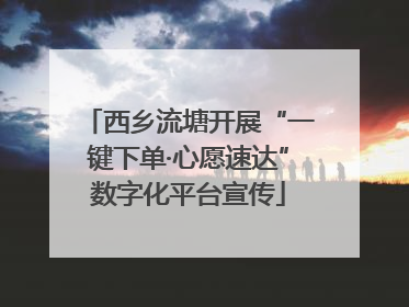 西乡流塘开展“一键下单·心愿速达”数字化平台宣传
