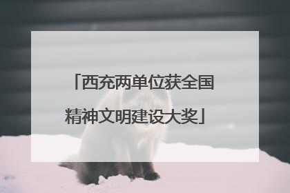 西充两单位获全国精神文明建设大奖