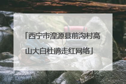 西宁市湟源县前沟村高山大白杜鹃走红网络