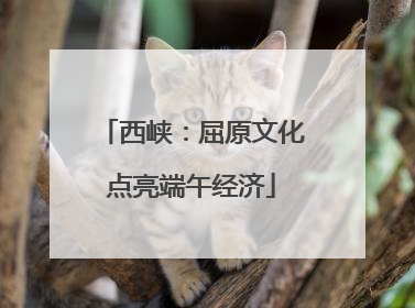 西峡：屈原文化点亮端午经济