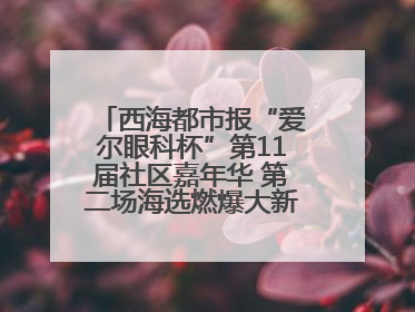 西海都市报“爱尔眼科杯”第11届社区嘉年华 第二场海选燃爆大新街夜市