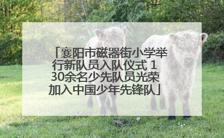 襄阳市磁器街小学举行新队员入队仪式 130余名少先队员光荣加入中国少年先锋队