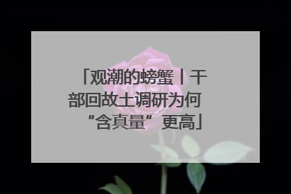 观潮的螃蟹丨干部回故土调研为何“含真量”更高