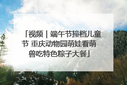 视频｜端午节撞档儿童节 重庆动物园萌娃看萌兽吃特色粽子大餐